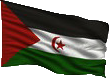 Bandiera Sahrawi Trasp