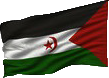 Bandiera Sahrawi Trasp dx